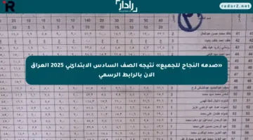 «صدمة النجاح للجميع» نتيجة الصف السادس الابتدائي 2025 العراق الآن بالرابط الرسمي